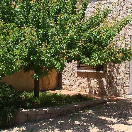 Bella Casa Con Giardino A 10 Minuti Dal Mare Apartamento Aglientu Exterior foto