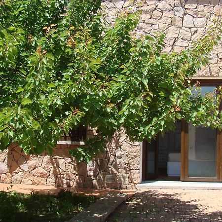Bella Casa Con Giardino A 10 Minuti Dal Mare Apartamento Aglientu Exterior foto