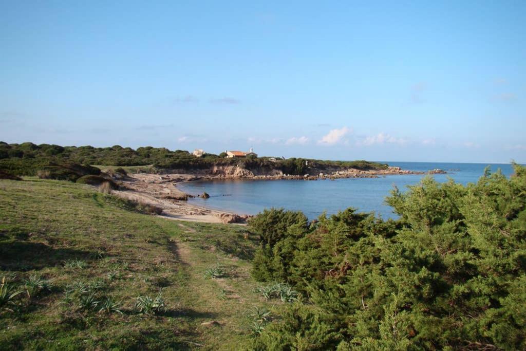 Bella Casa Con Giardino A 10 Minuti Dal Mare Apartamento Aglientu Exterior foto